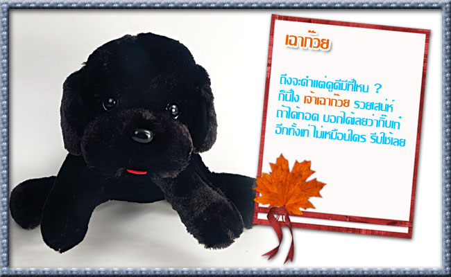 ตุ๊กตาสุนัขเฉาก๊วย ขนาด 60cm. (สินค้าหมด!) ตุ๊กตาสุนัขเฉาก๊วย ขนาด 60cm. (สินค้าหมด!)