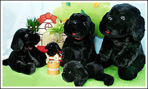 ตุ๊กตาสุนัขเฉาก๊วย ขนาด 60cm. (สินค้าหมด!) ตุ๊กตาสุนัขเฉาก๊วย ขนาด 60cm. (สินค้าหมด!)