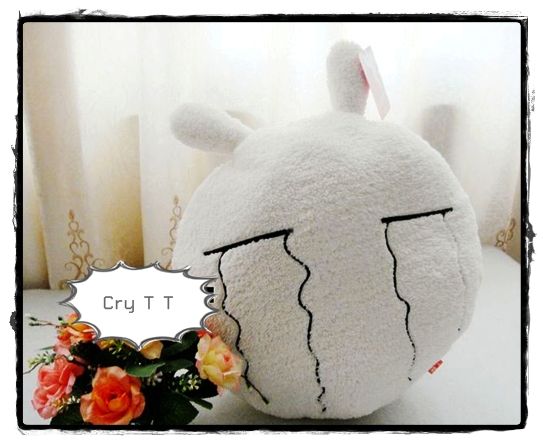 ชุดหมอนตุ๊กตาอีโมชั่นนำเข้า (หมด!)