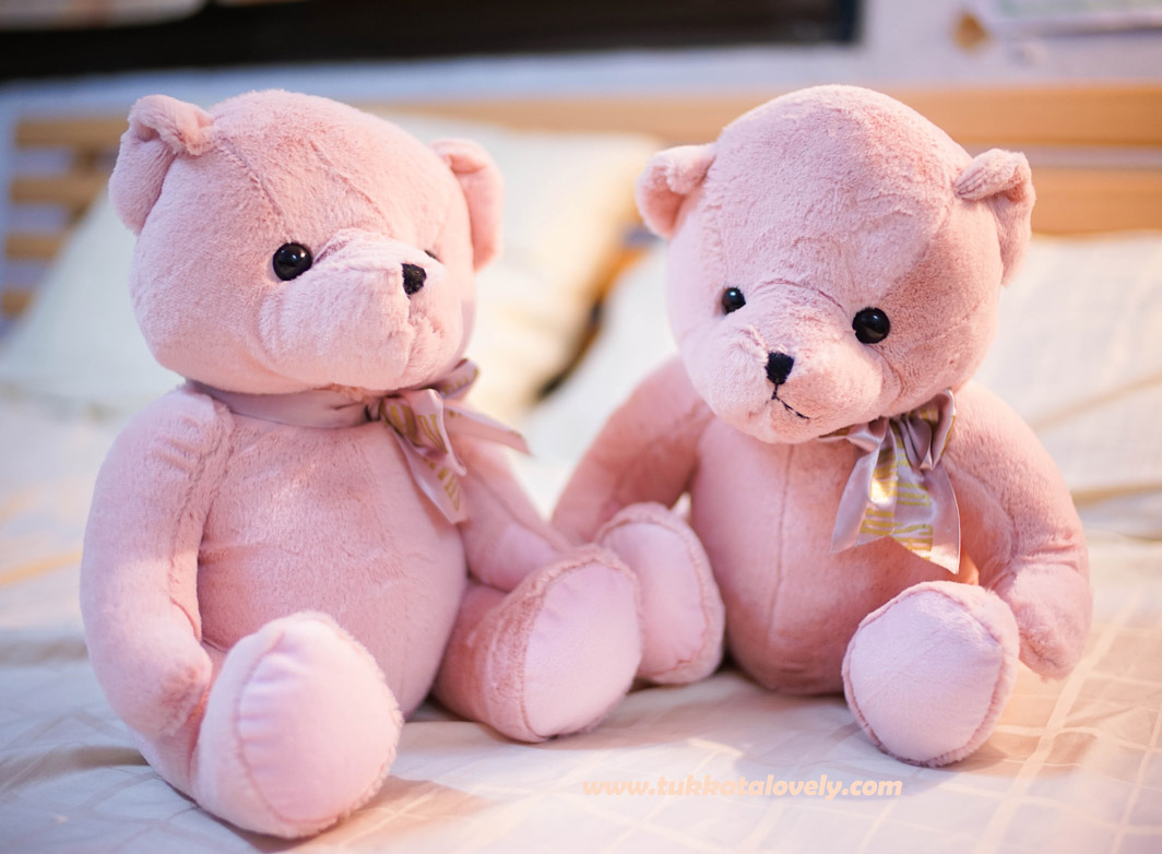 ตุ๊กตาหมีเบบี้แคนดี้