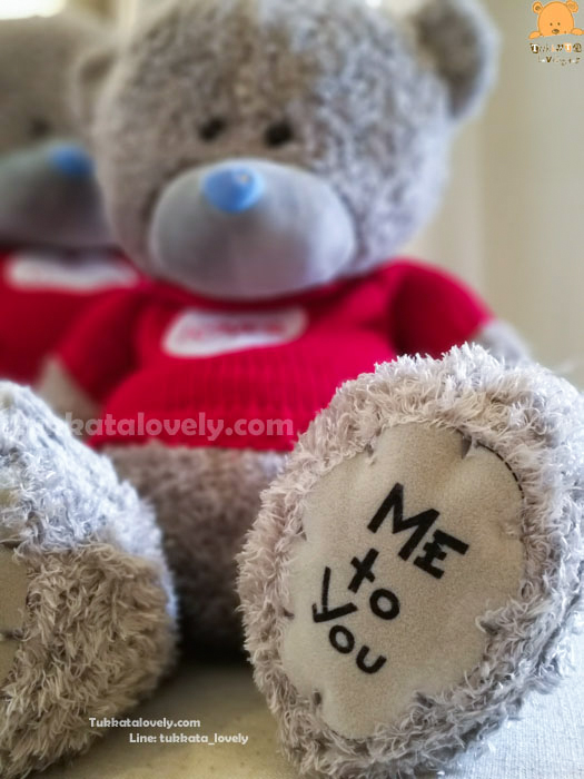 ตุ๊กตาหมีเท็ดดี้ (Me to you) 40-60-80cm