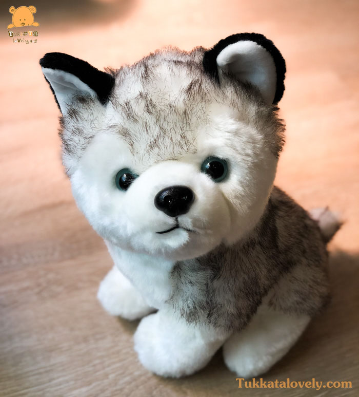 ตุ๊กตาสุนัขไซบีเรียนฮัสกี้ 30cm