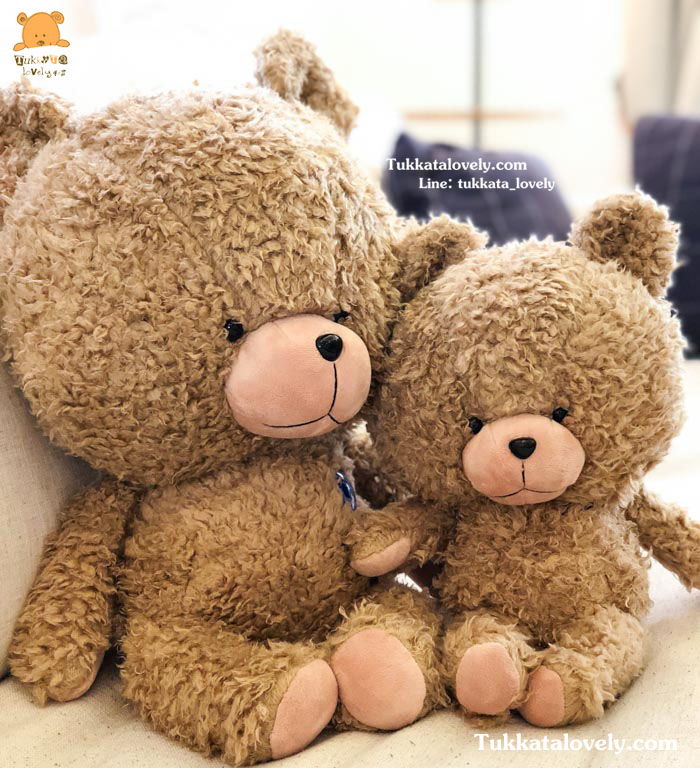 ตุ๊กตาหมี (Cute) ขนาด 35cm