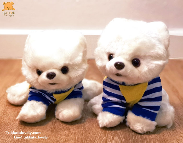 ตุ๊กตาสุนัขปอมปอมสีขาว 25cm