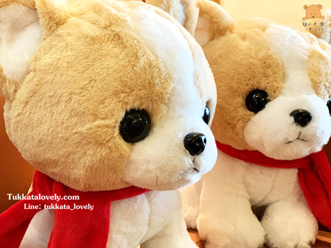 ตุ๊กตาสุนัขชิวาว่า