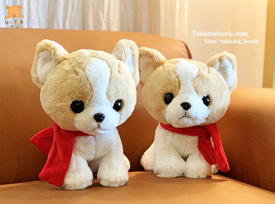 ตุ๊กตาสุนัขชิวาว่า