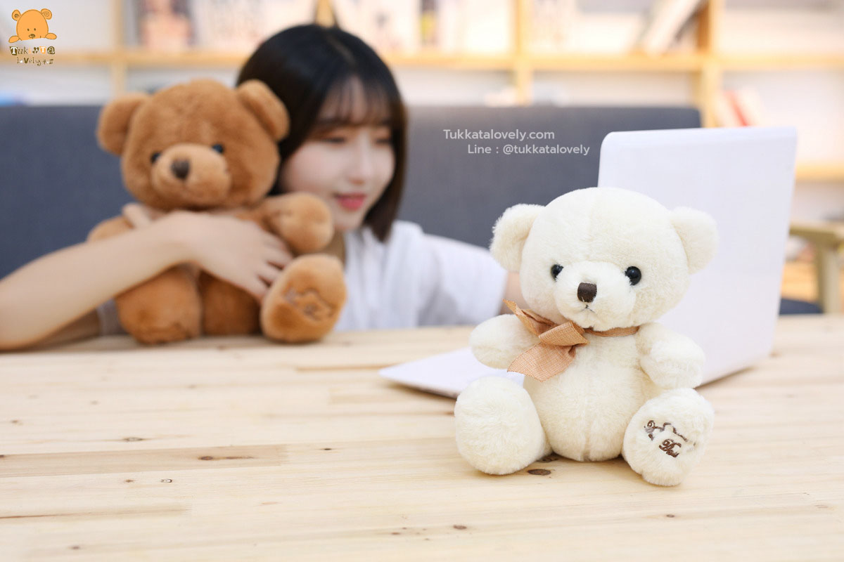 ตุ๊กตาหมีเท็ดดี้แบร์มินิ 20-35cm