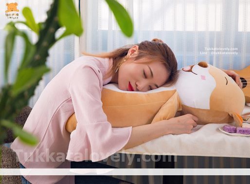 ตุ๊กตาหมาชิบะอินุ 50-70cm