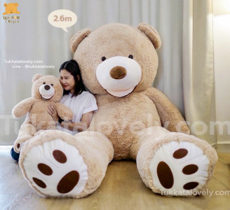 ตุ๊กตาหมีตัวใหญ่ 80cm-3.4m (ตุ๊กตาหมีไจแอนด์)